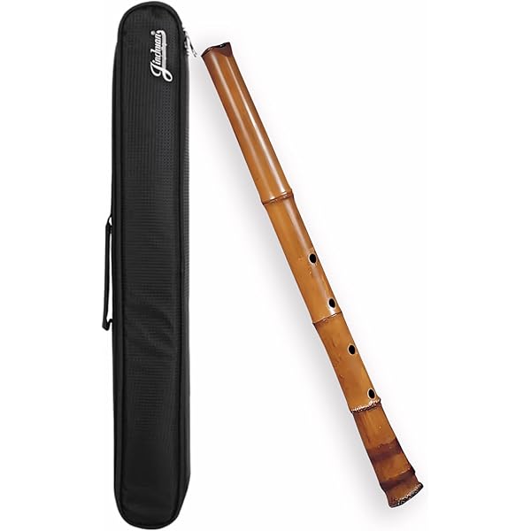 Amazon.co.jp: 笛 楽器 収納ケース 横笛 篠笛 尺八 龍笛 袋 2本入り 木